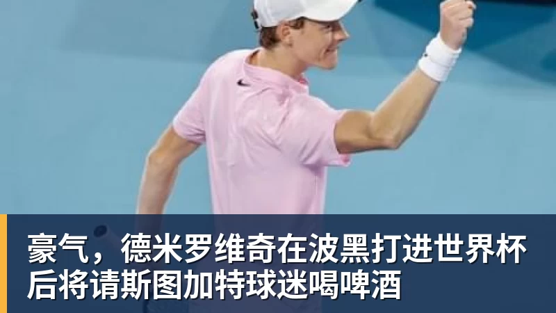 豪气,德米罗维奇在波黑打进世界杯后将请斯图加特球迷喝啤酒 - 乐竞体育(中国)官方网站 - LEJING SPORTS